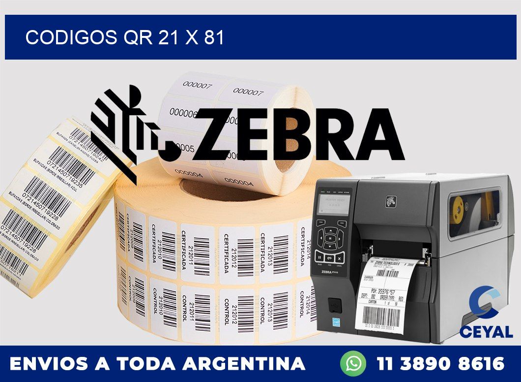 CODIGOS QR 21 x 81