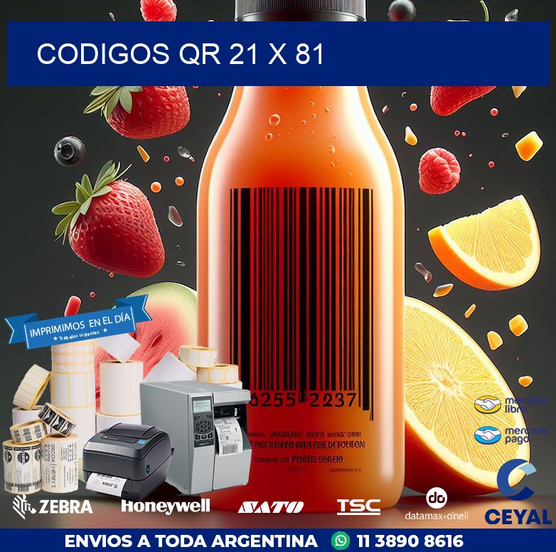 CODIGOS QR 21 x 81