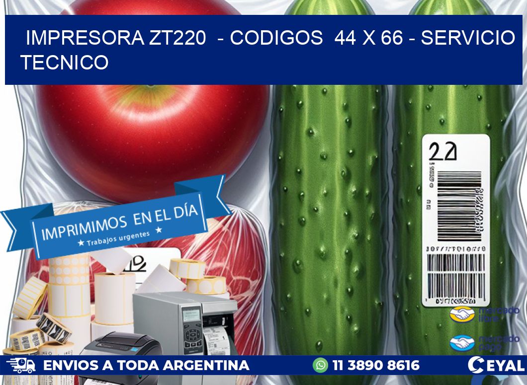 IMPRESORA ZT220  - CODIGOS  44 x 66 - SERVICIO TECNICO