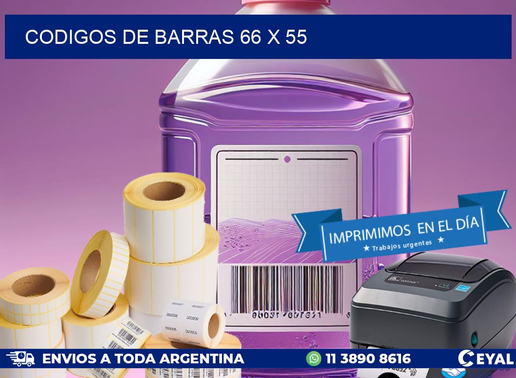 codigos de barras 66 x 55