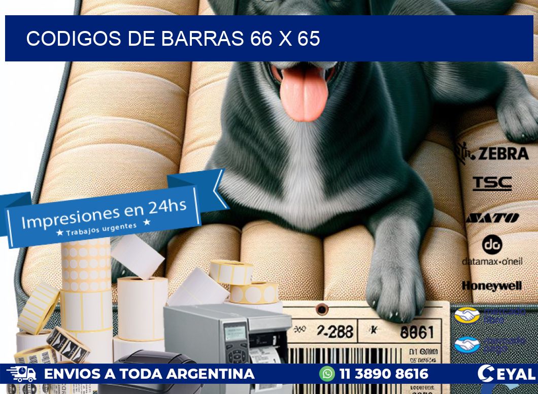 codigos de barras 66 x 65