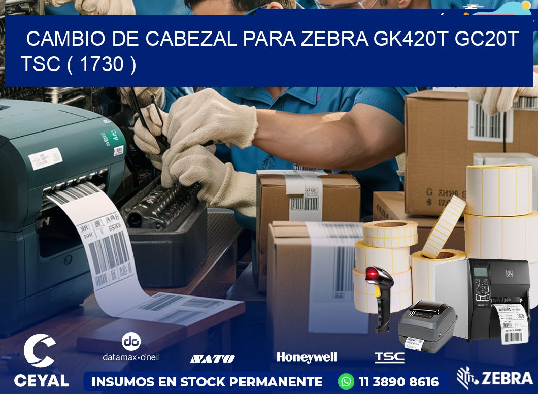 CAMBIO DE CABEZAL PARA ZEBRA GK420T GC20T TSC ( 1730 )