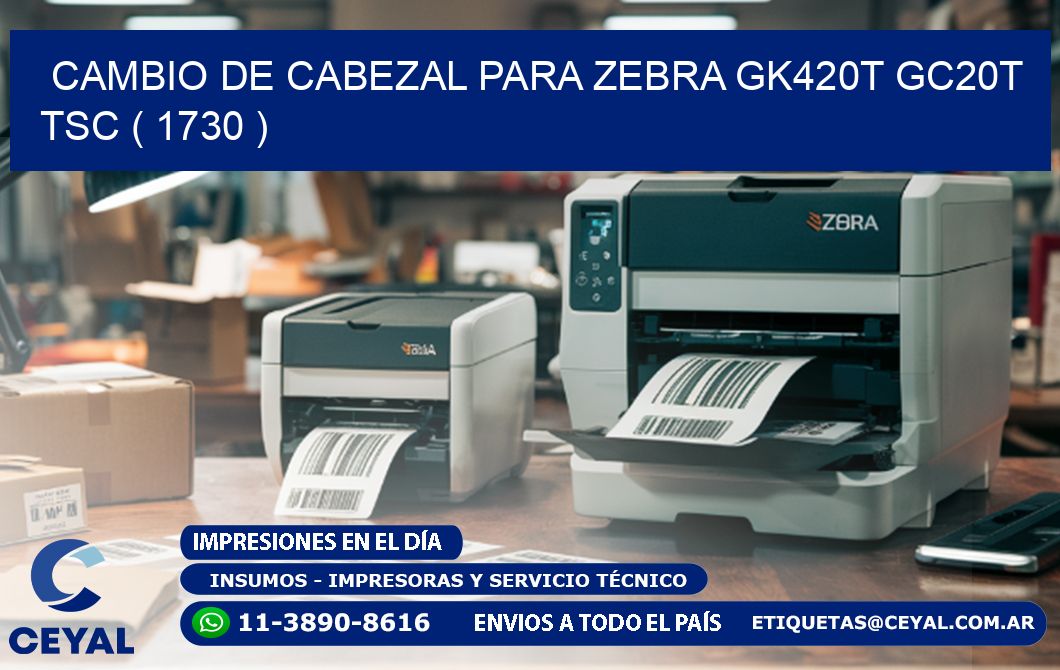 CAMBIO DE CABEZAL PARA ZEBRA GK420T GC20T TSC ( 1730 )