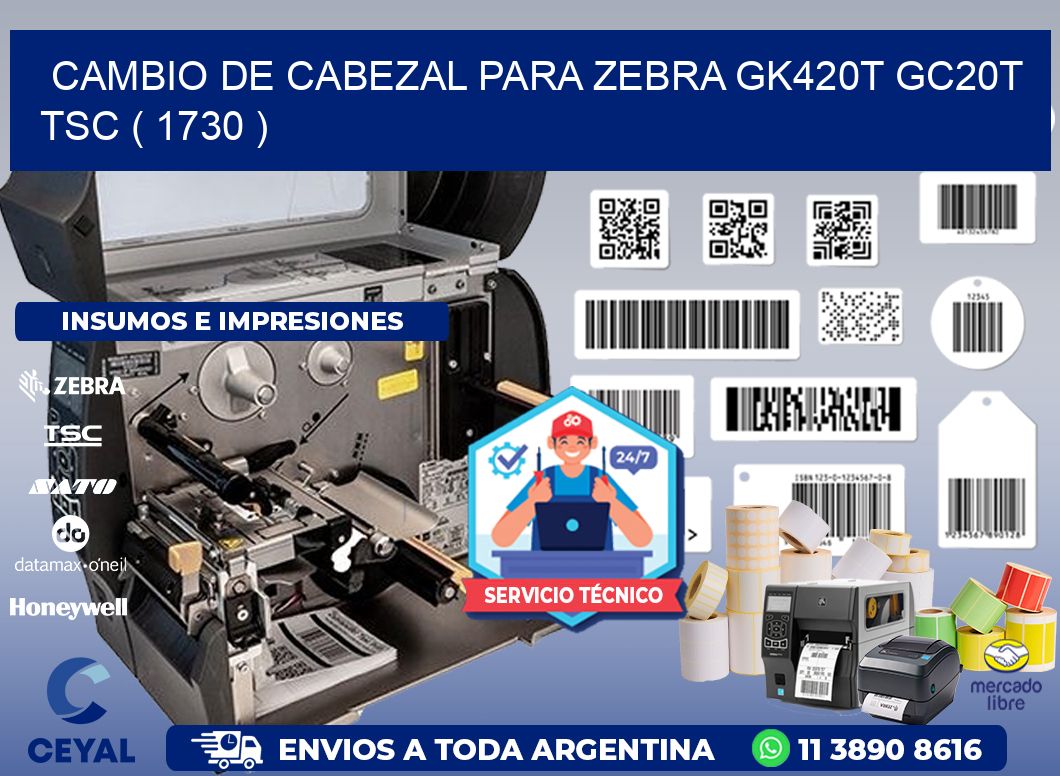 CAMBIO DE CABEZAL PARA ZEBRA GK420T GC20T TSC ( 1730 )