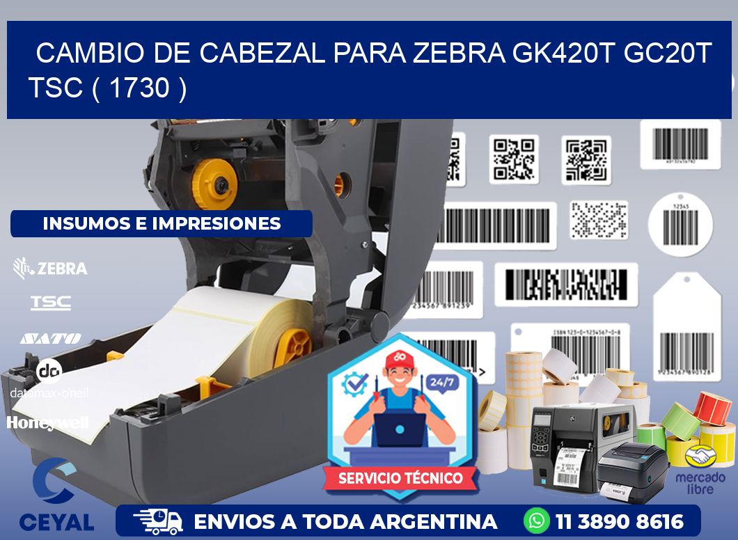 CAMBIO DE CABEZAL PARA ZEBRA GK420T GC20T TSC ( 1730 )