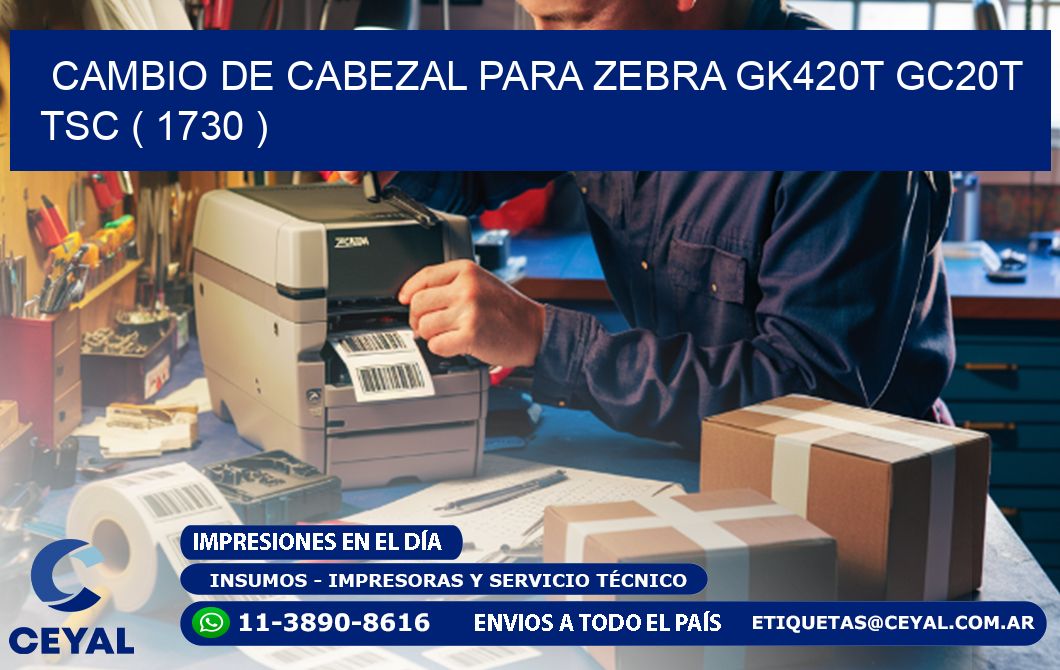 CAMBIO DE CABEZAL PARA ZEBRA GK420T GC20T TSC ( 1730 )