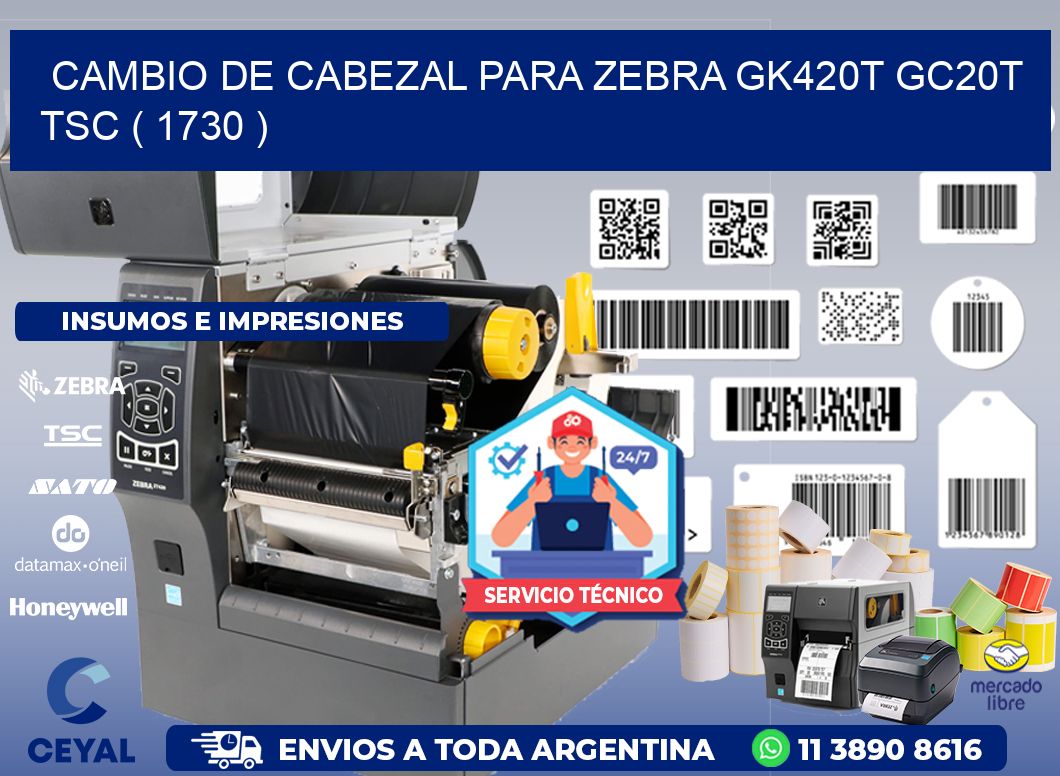 CAMBIO DE CABEZAL PARA ZEBRA GK420T GC20T TSC ( 1730 )