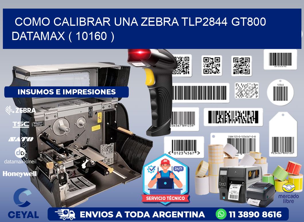 COMO CALIBRAR UNA ZEBRA TLP2844 GT800 DATAMAX ( 10160 )