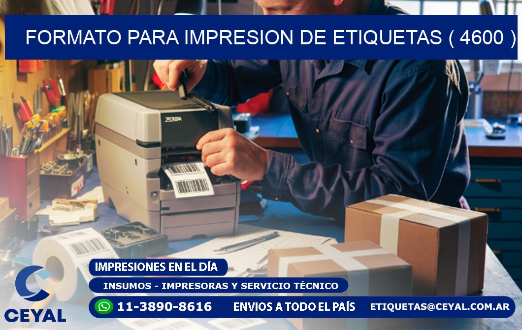 FORMATO PARA IMPRESION DE ETIQUETAS ( 4600 )