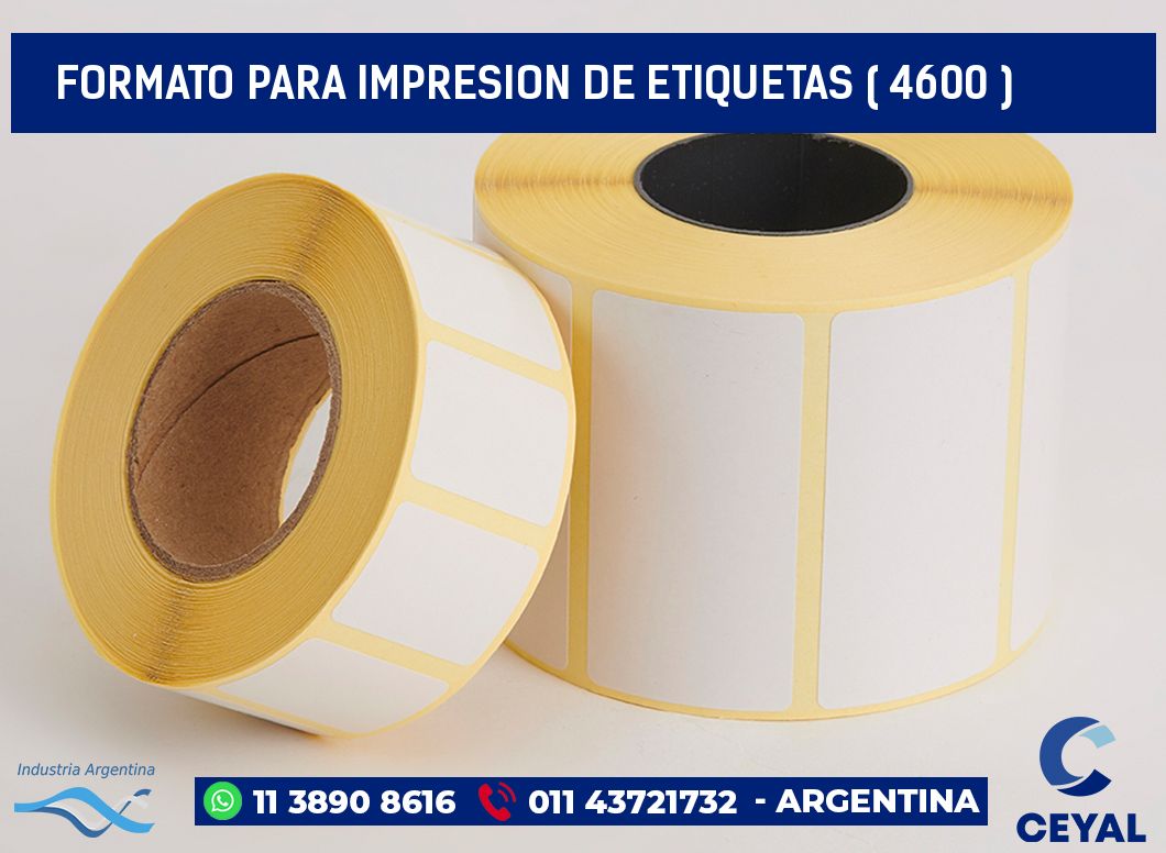 FORMATO PARA IMPRESION DE ETIQUETAS ( 4600 )