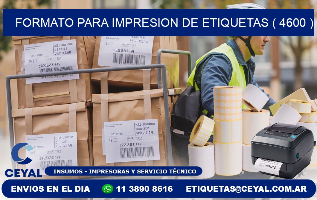 FORMATO PARA IMPRESION DE ETIQUETAS ( 4600 )