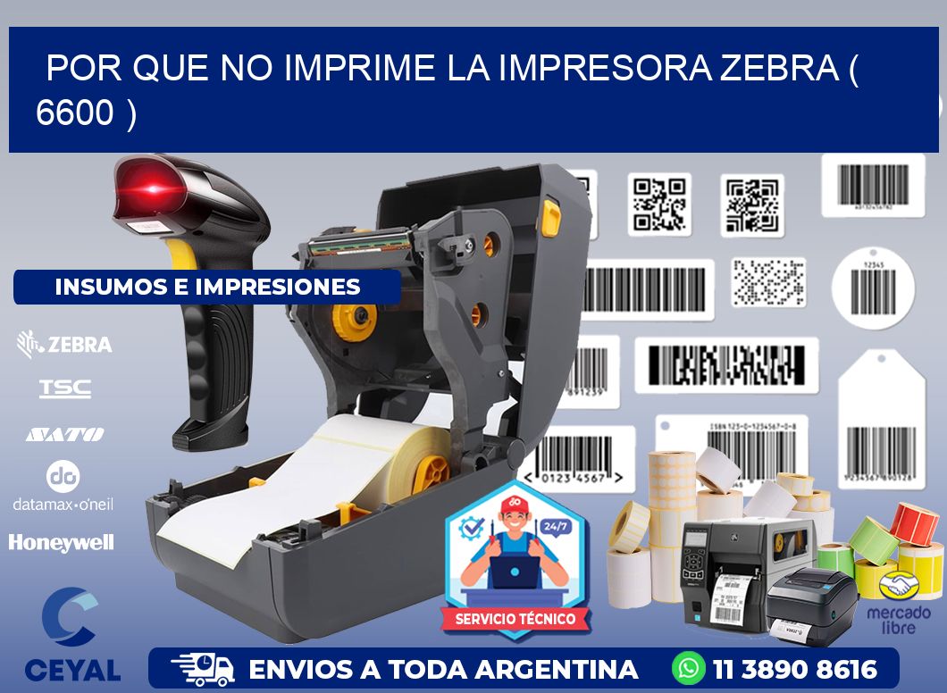 POR QUE NO IMPRIME LA IMPRESORA ZEBRA ( 6600 )