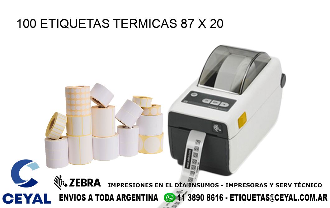 100 ETIQUETAS TERMICAS 87 x 20