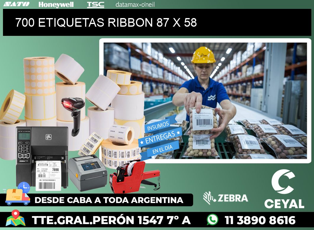 700 ETIQUETAS RIBBON 87 x 58