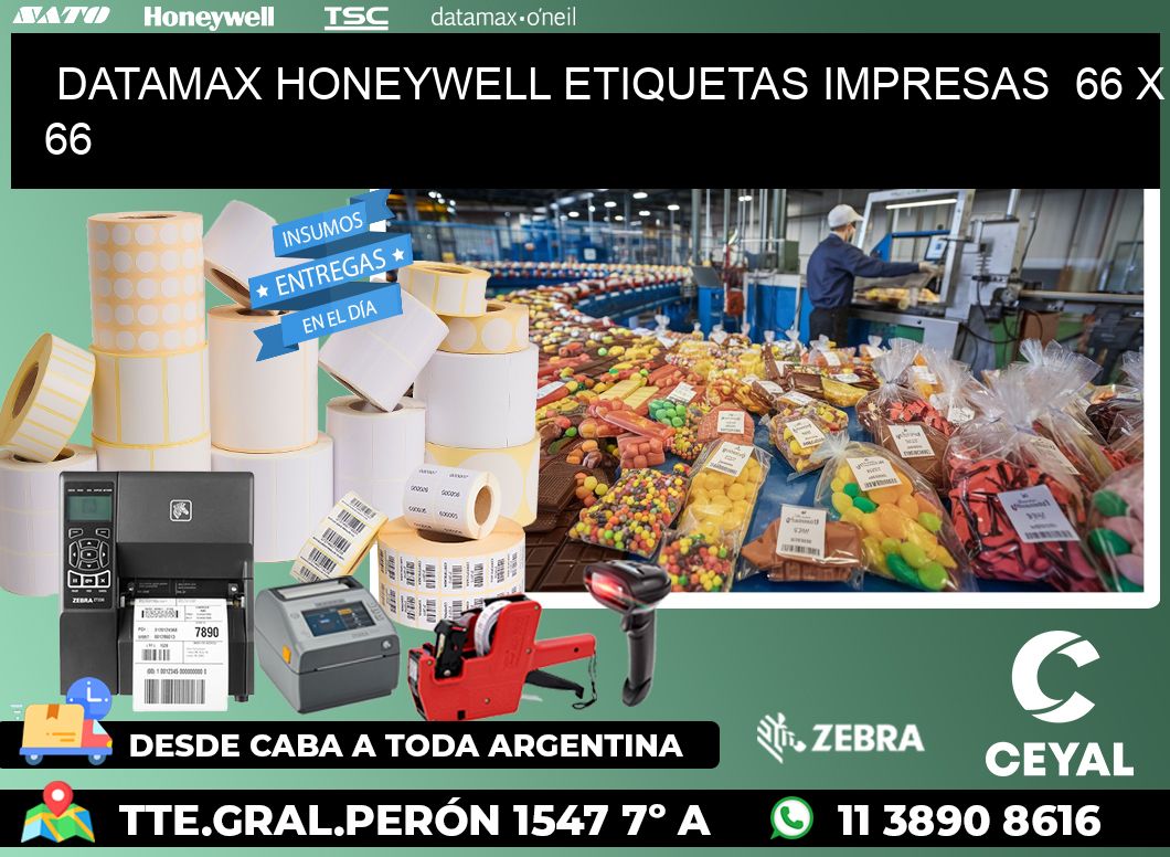 DATAMAX HONEYWELL ETIQUETAS IMPRESAS  66 x 66