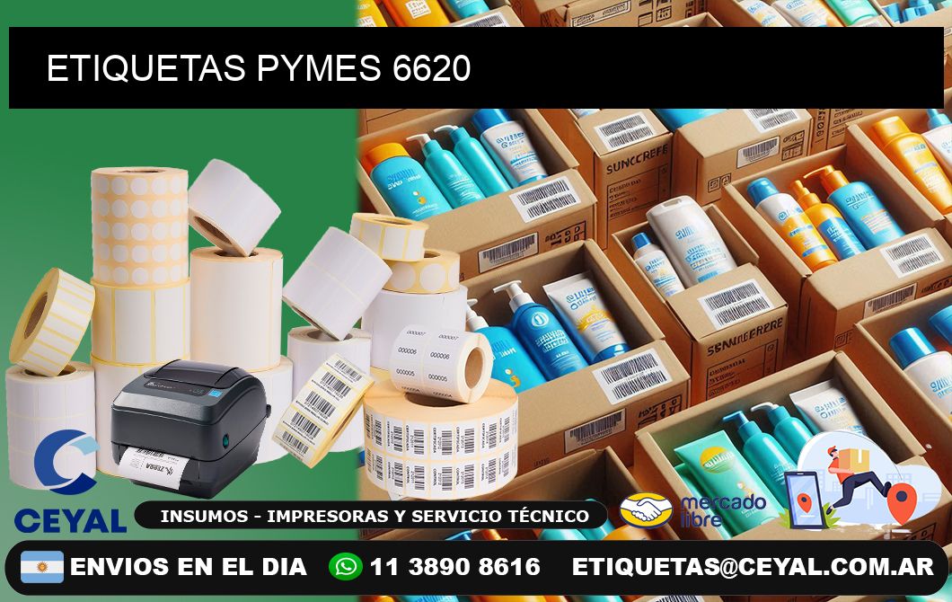 ETIQUETAS PYMES 6620