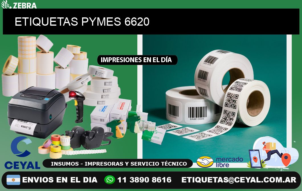 ETIQUETAS PYMES 6620