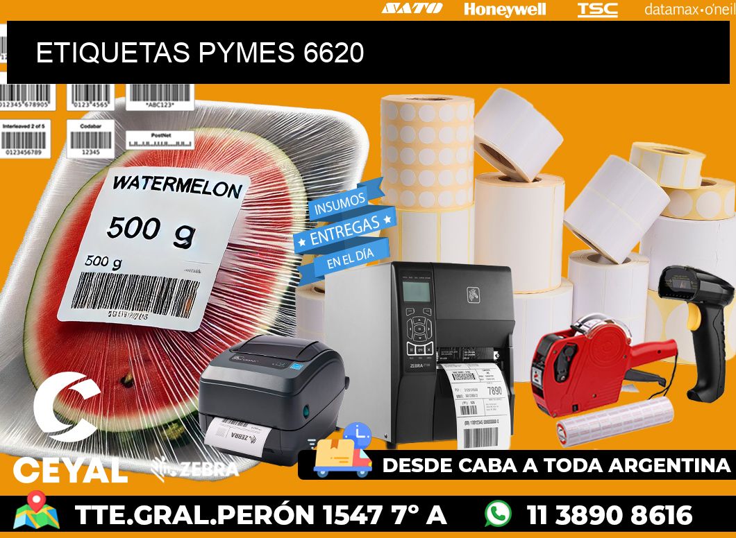 ETIQUETAS PYMES 6620