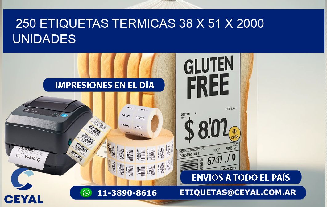 250 ETIQUETAS TERMICAS 38 x 51 X 2000 UNIDADES