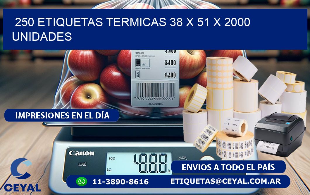 250 ETIQUETAS TERMICAS 38 x 51 X 2000 UNIDADES