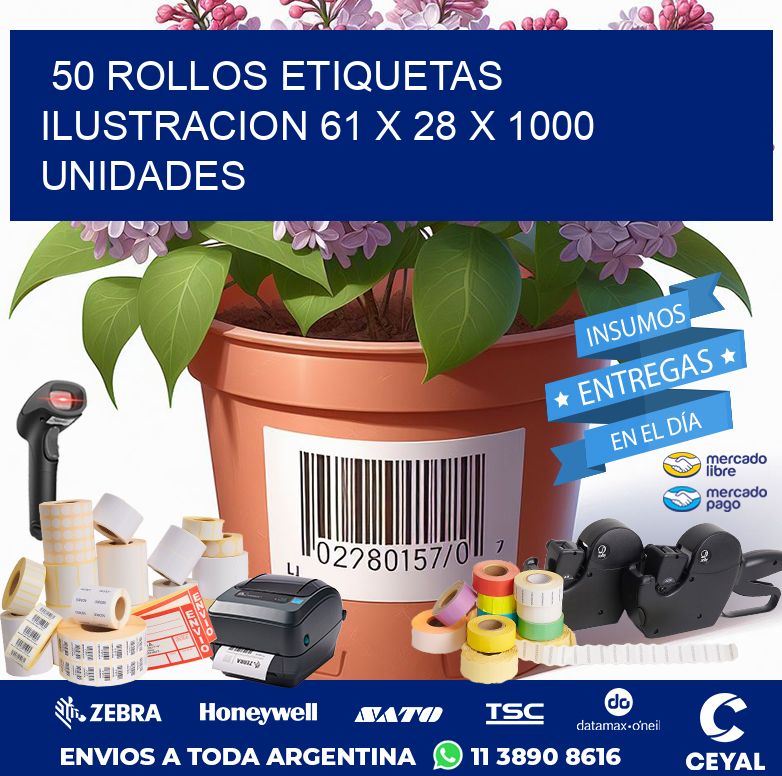 50 ROLLOS ETIQUETAS ILUSTRACION 61 x 28 X 1000 UNIDADES