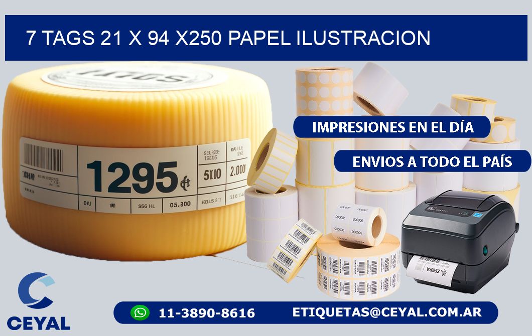7 TAGS 21 x 94 X250 PAPEL ILUSTRACION
