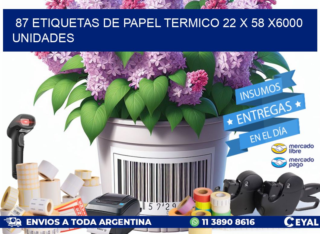 87 ETIQUETAS DE PAPEL TERMICO 22 x 58 X6000 UNIDADES