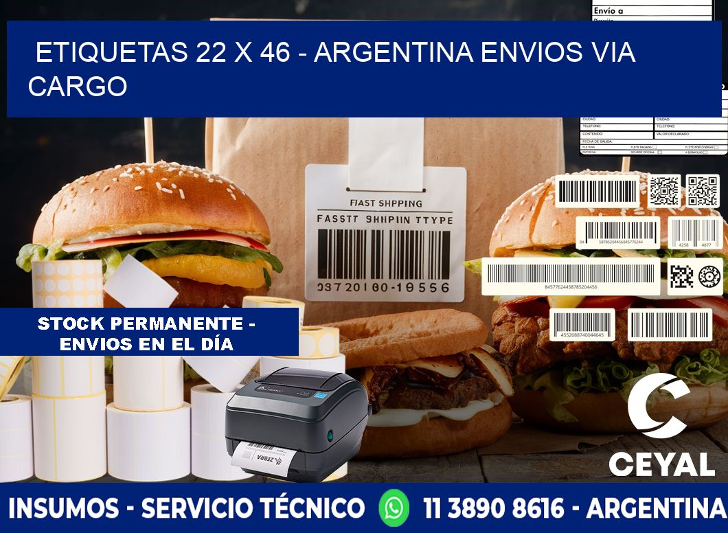 ETIQUETAS 22 x 46 - ARGENTINA ENVIOS VIA CARGO