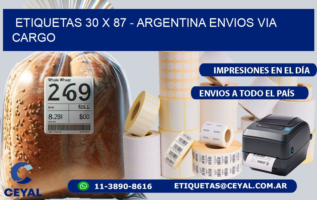 ETIQUETAS 30 x 87 - ARGENTINA ENVIOS VIA CARGO