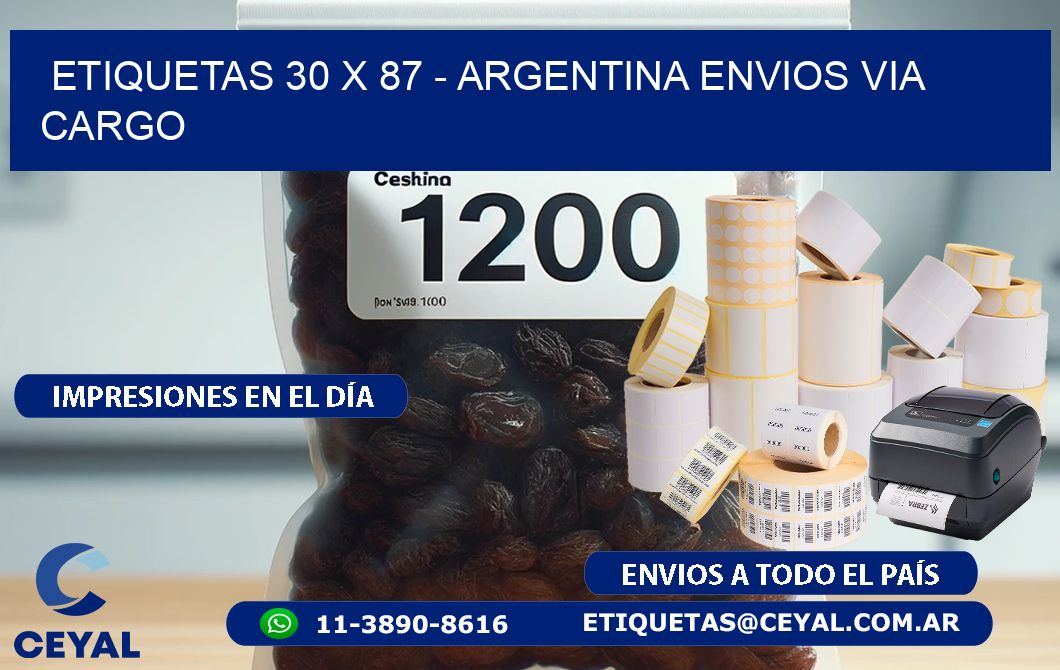 ETIQUETAS 30 x 87 - ARGENTINA ENVIOS VIA CARGO