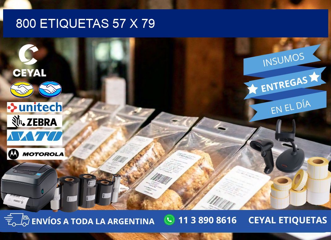 800 ETIQUETAS 57 x 79