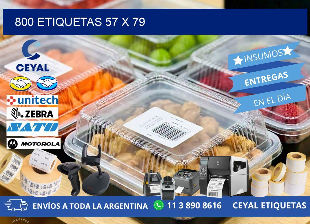 800 ETIQUETAS 57 x 79