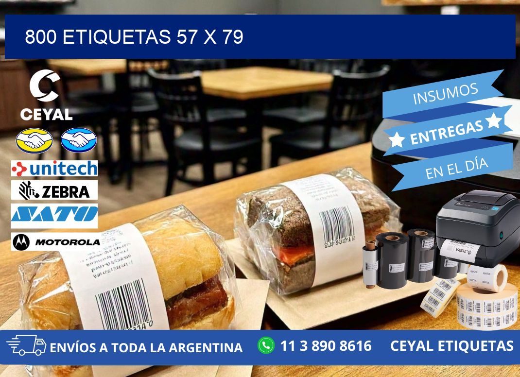 800 ETIQUETAS 57 x 79
