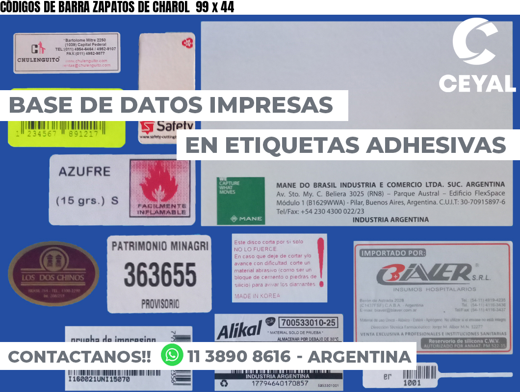 CÓDIGOS DE BARRA ZAPATOS DE CHAROL  99 x 44