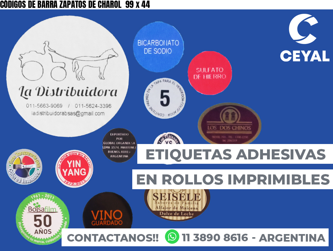 CÓDIGOS DE BARRA ZAPATOS DE CHAROL  99 x 44