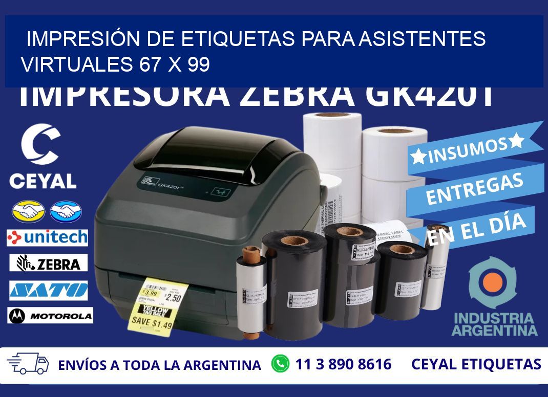 IMPRESIÓN DE ETIQUETAS PARA ASISTENTES VIRTUALES 67 x 99