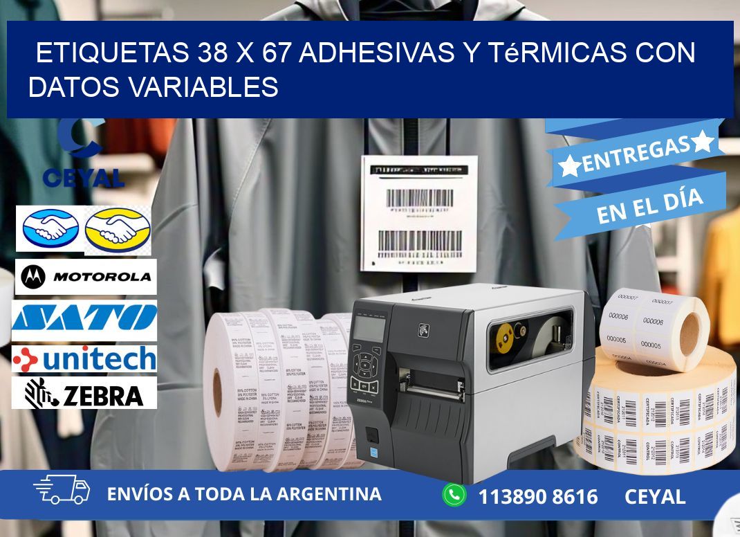 Etiquetas 38 x 67 Adhesivas y Térmicas con Datos Variables