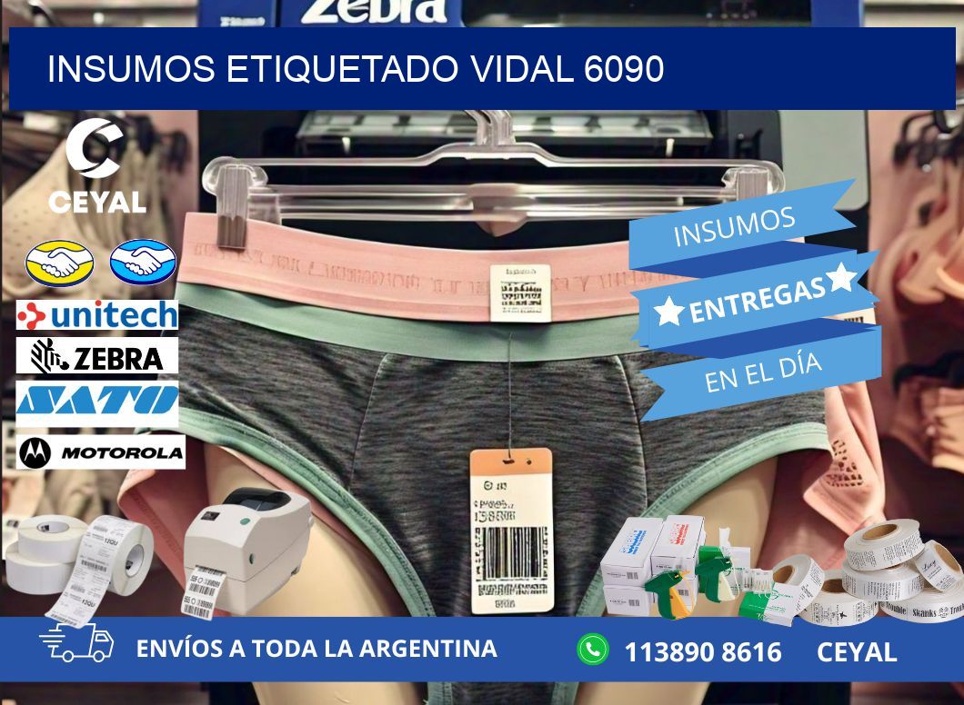 INSUMOS ETIQUETADO Vidal 6090