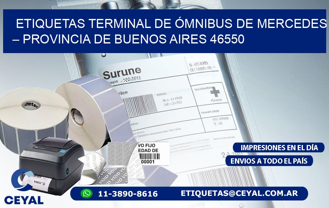 ETIQUETAS TERMINAL DE ÓMNIBUS DE MERCEDES – PROVINCIA DE BUENOS AIRES 46550