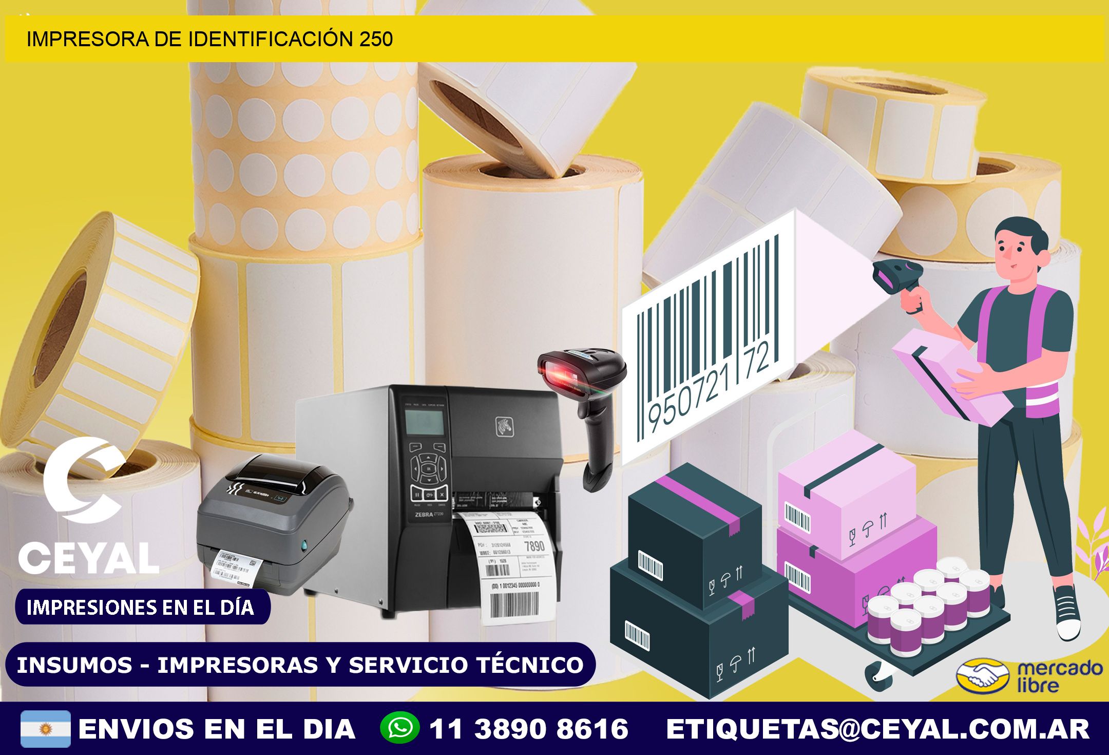 IMPRESORA DE IDENTIFICACIÓN 250
