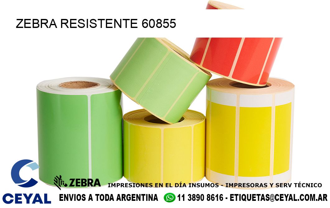 ZEBRA RESISTENTE 60855