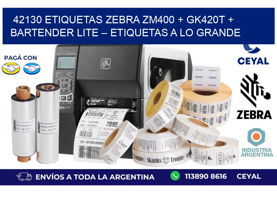 42130 ETIQUETAS Zebra ZM400 + GK420T + BarTender Lite – Etiquetas a lo grande