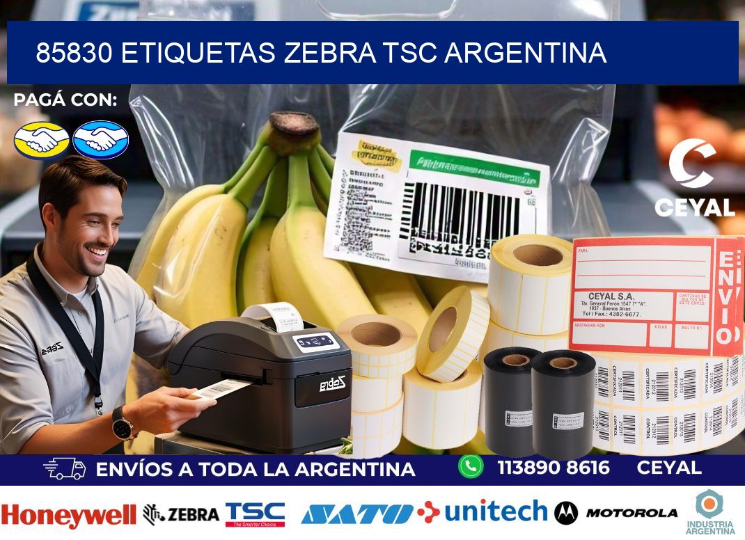 85830 etiquetas zebra tsc argentina
