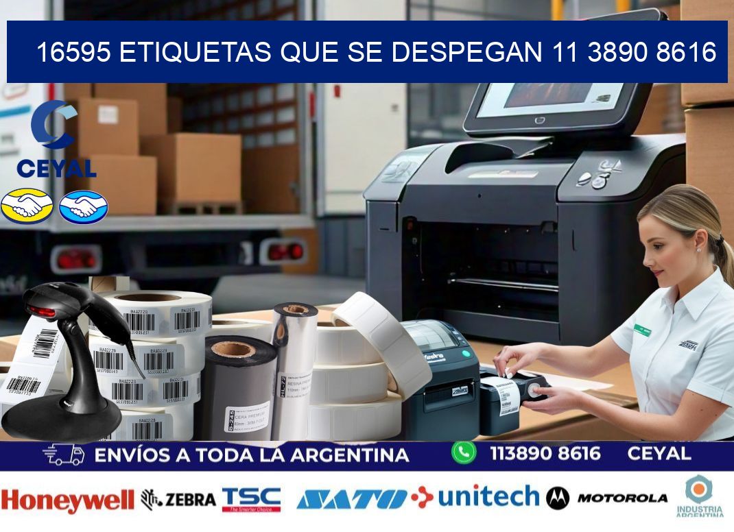 16595 ETIQUETAS QUE SE DESPEGAN 11 3890 8616