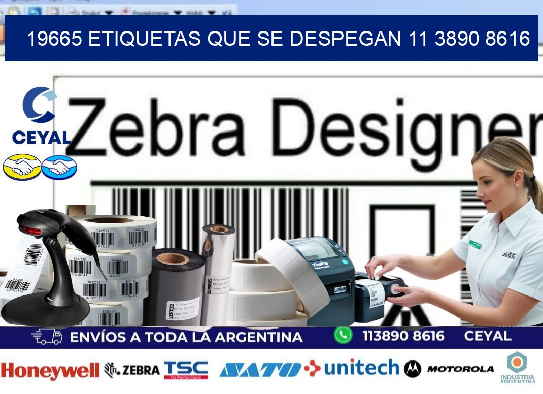 19665 ETIQUETAS QUE SE DESPEGAN 11 3890 8616