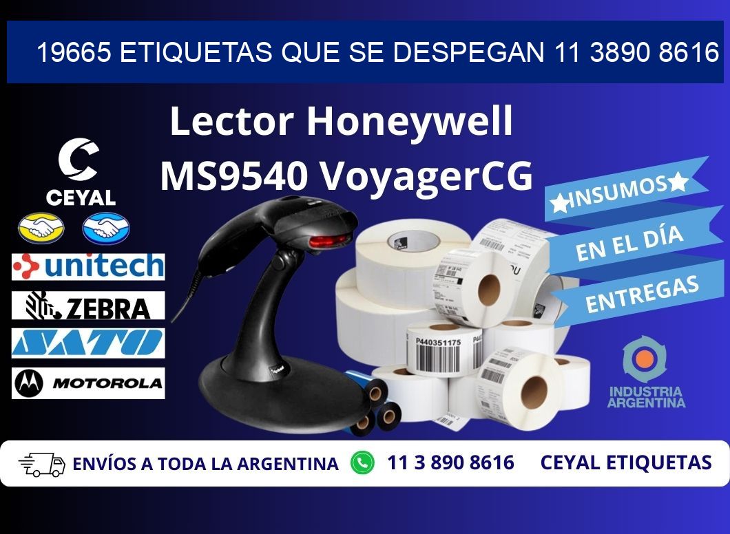 19665 ETIQUETAS QUE SE DESPEGAN 11 3890 8616
