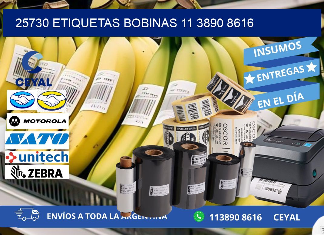 25730 ETIQUETAS BOBINAS 11 3890 8616