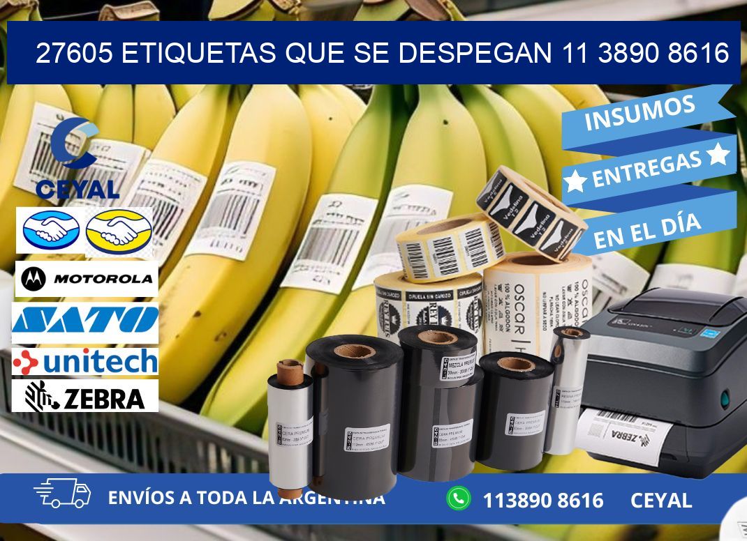 27605 ETIQUETAS QUE SE DESPEGAN 11 3890 8616