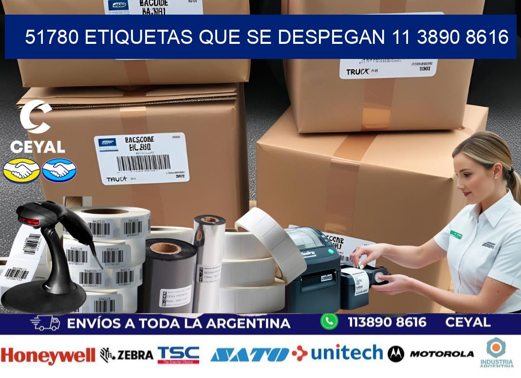 51780 ETIQUETAS QUE SE DESPEGAN 11 3890 8616