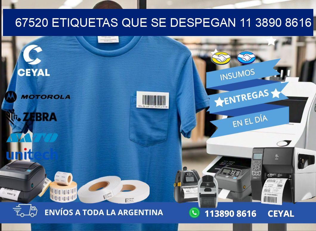 67520 ETIQUETAS QUE SE DESPEGAN 11 3890 8616